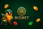 riobet casino
